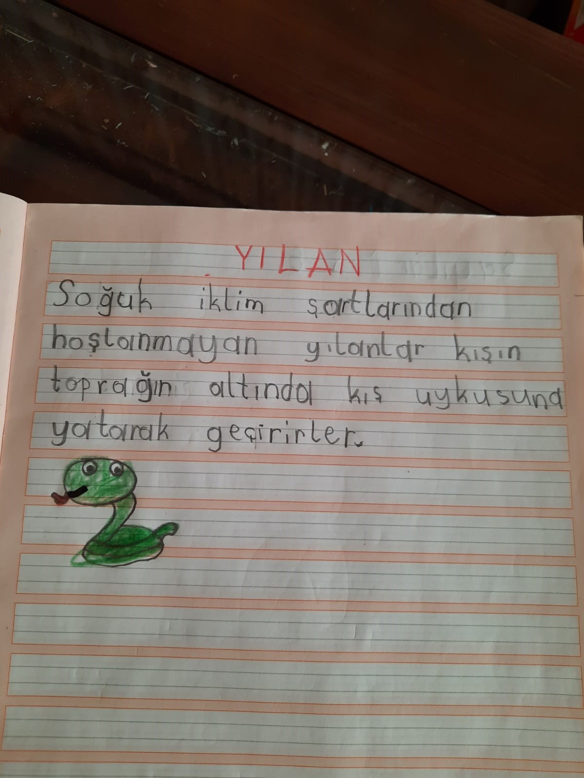 KIŞ UYKUSUNA YATAN HAYVANLARLA İLGİLİ KOMPOZİSYONLAR by Vecihe İnan - Illustrated by KIŞ UYKUSUNA YATAN HAYVANLAR - Ourboox.com