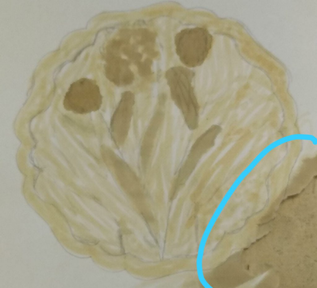 יובל אומנות מחצית א’ by yuval apwelker - Ourboox.com