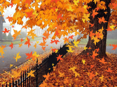 فصل الخريف by galaa - Illustrated by Galaa mahajnah - Ourboox.com