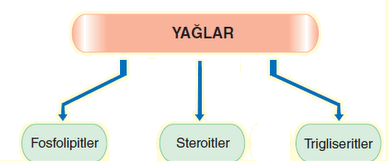 ş by haktan öncel - Ourboox.com