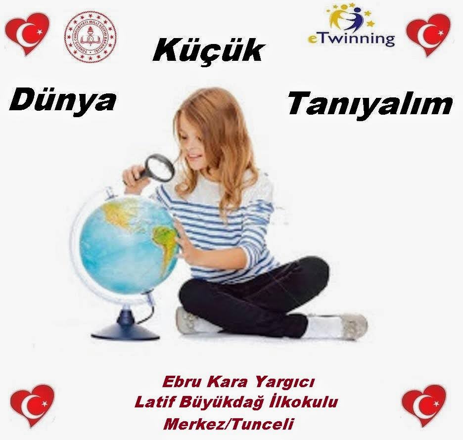 JAPONYA by Yıldız KÖZELO YAVUZ - Ourboox.com