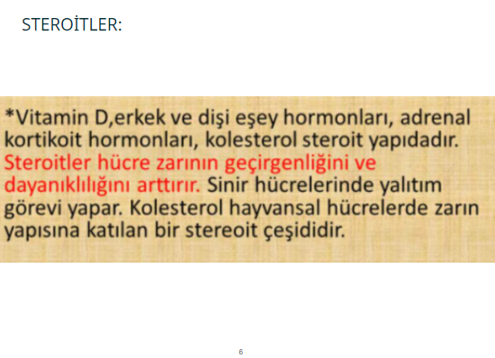 Biyoloji Projesi by haktan öncel - Illustrated by 9/A 226 Haktan Öncel - Ourboox.com