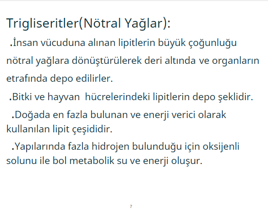 Biyoloji Projesi by haktan öncel - Illustrated by 9/A 226 Haktan Öncel - Ourboox.com