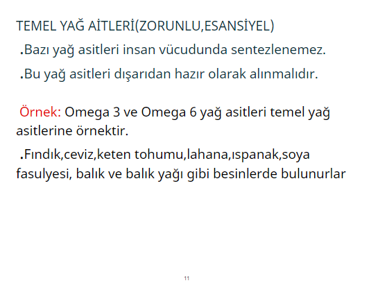 Biyoloji Projesi by haktan öncel - Illustrated by 9/A 226 Haktan Öncel - Ourboox.com