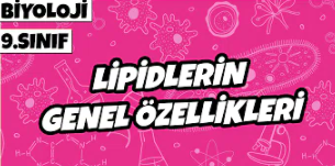 Biyoloji Projesi by haktan öncel - Illustrated by 9/A 226 Haktan Öncel - Ourboox.com