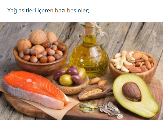 Biyoloji Projesi by haktan öncel - Illustrated by 9/A 226 Haktan Öncel - Ourboox.com