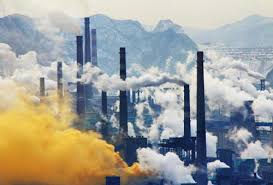 İNSAN VE ÇEVRE by merve biçer - Ourboox.com