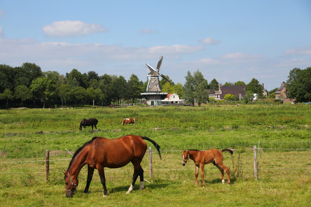 le mie vacanze by sofia zuccolo - Ourboox.com