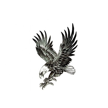 האיכר והנשר- סיפור קצר by aya - Ourboox.com