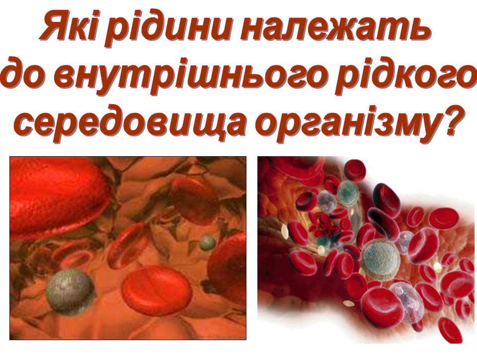 Транспорт речовин 8кл by Pidgorodetska Olena - Ourboox.com