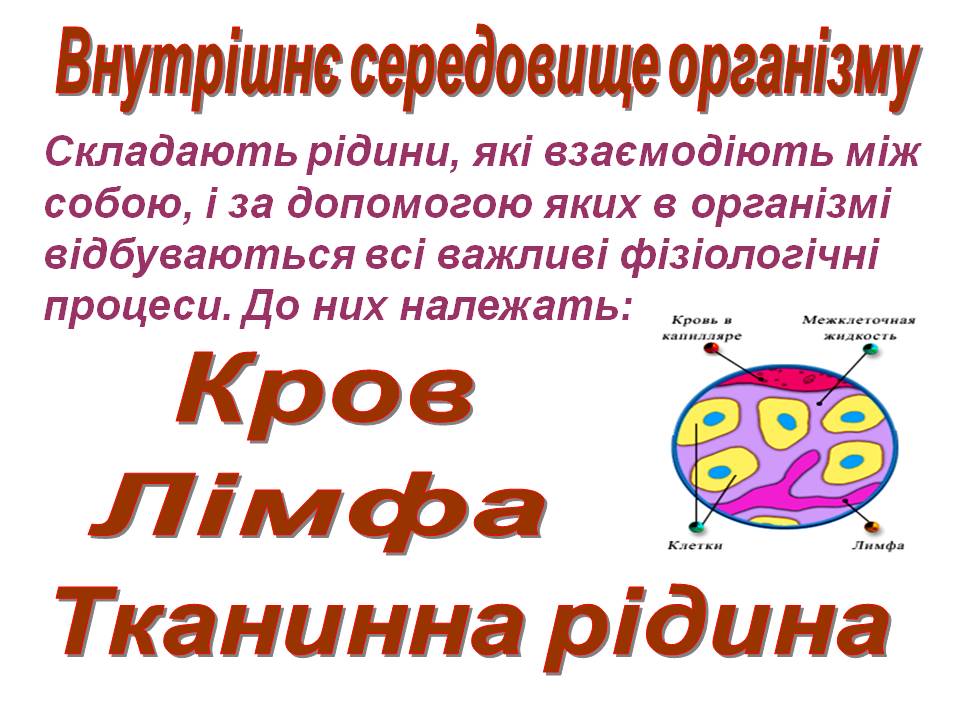 Транспорт речовин 8кл by Pidgorodetska Olena - Ourboox.com