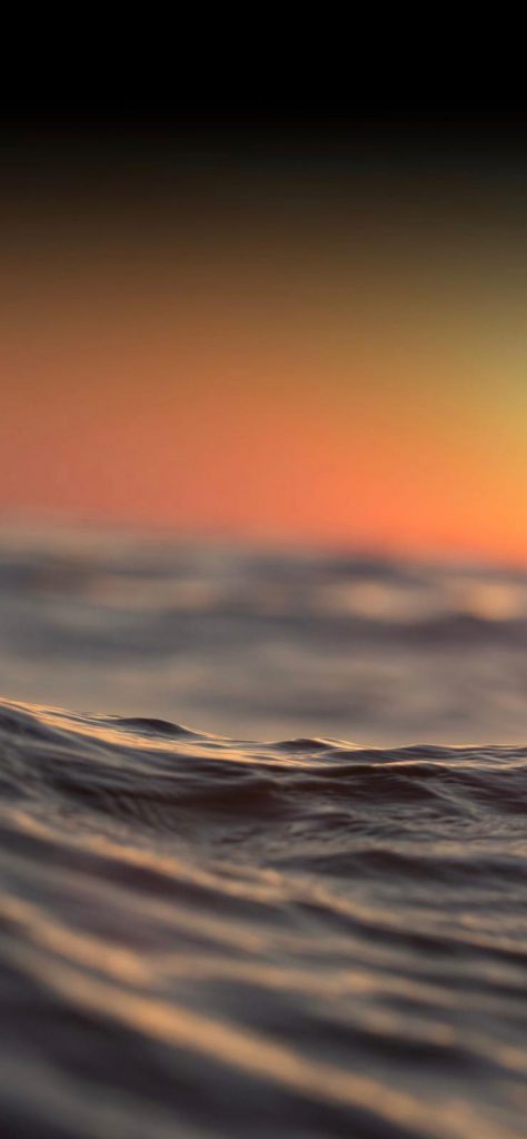 יומן שנתי by noy - Ourboox.com