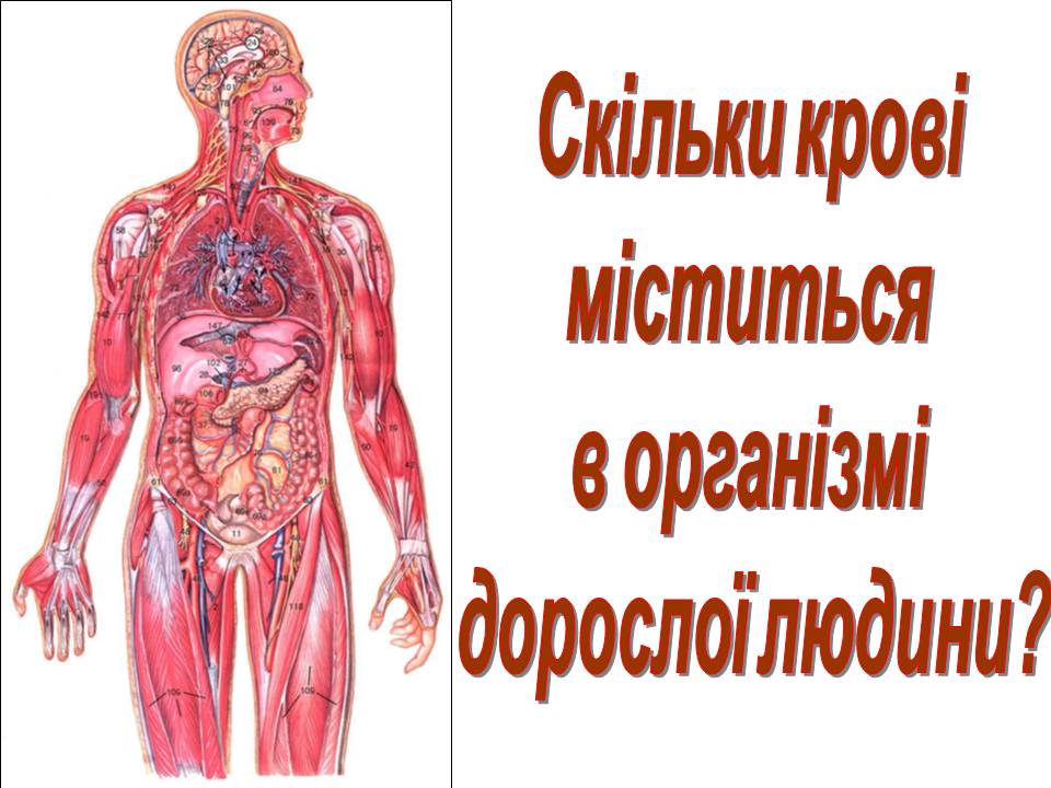 Транспорт речовин 8кл by Pidgorodetska Olena - Ourboox.com