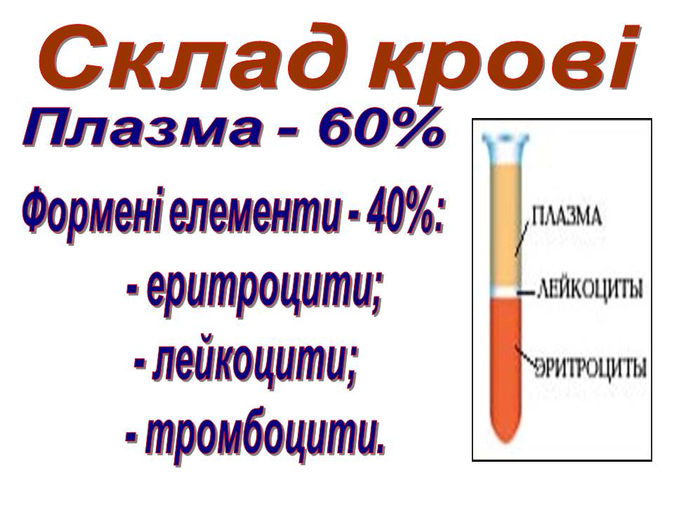 Транспорт речовин 8кл by Pidgorodetska Olena - Ourboox.com