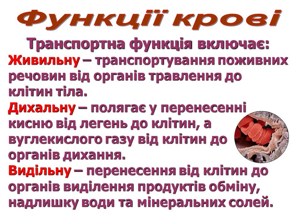 Транспорт речовин 8кл by Pidgorodetska Olena - Ourboox.com