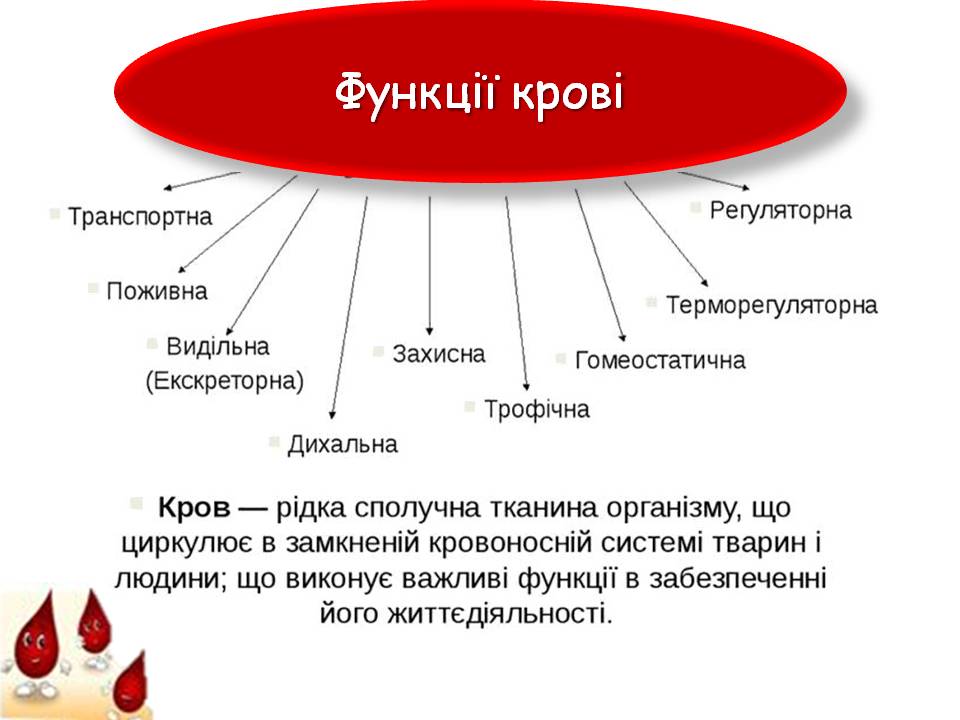 Транспорт речовин 8кл by Pidgorodetska Olena - Ourboox.com