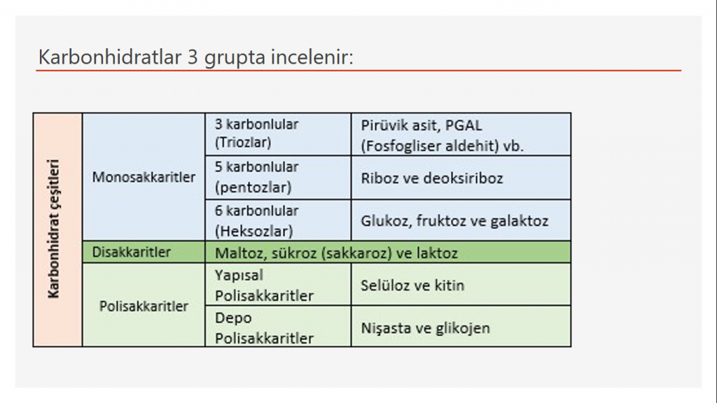 9/A 09 Cansu Şen KARBONHİDRATLAR by Cansu - Ourboox.com