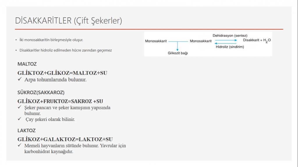 9/A 09 Cansu Şen KARBONHİDRATLAR by Cansu - Ourboox.com