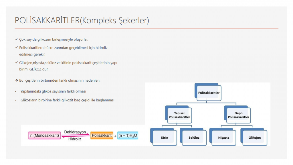 9/A 09 Cansu Şen KARBONHİDRATLAR by Cansu - Ourboox.com