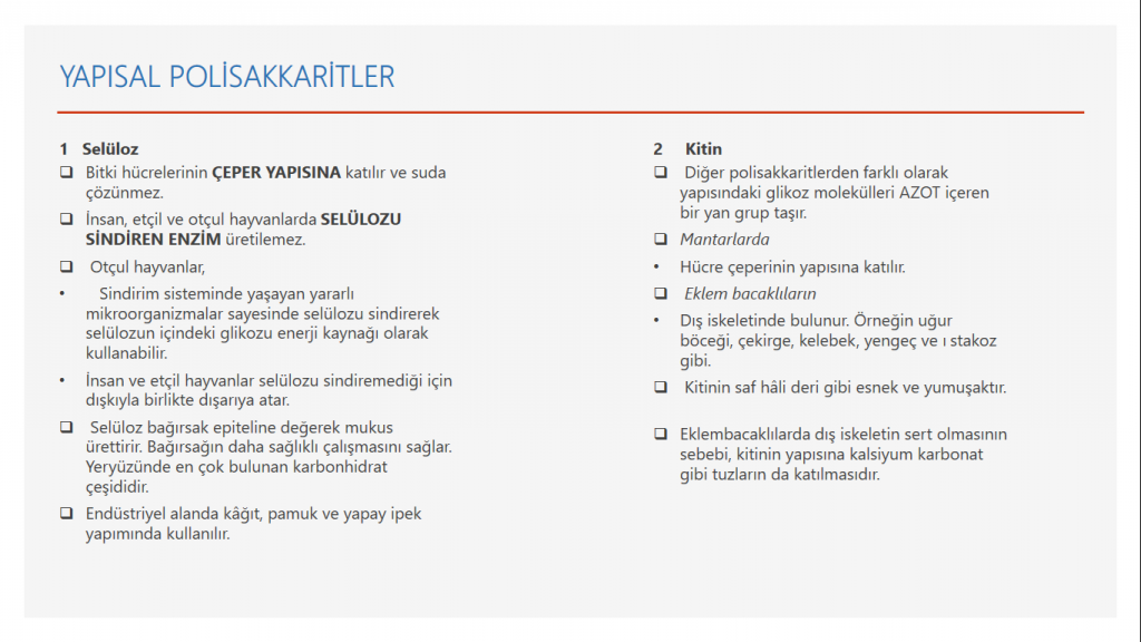 9/A 09 Cansu Şen KARBONHİDRATLAR by Cansu - Ourboox.com