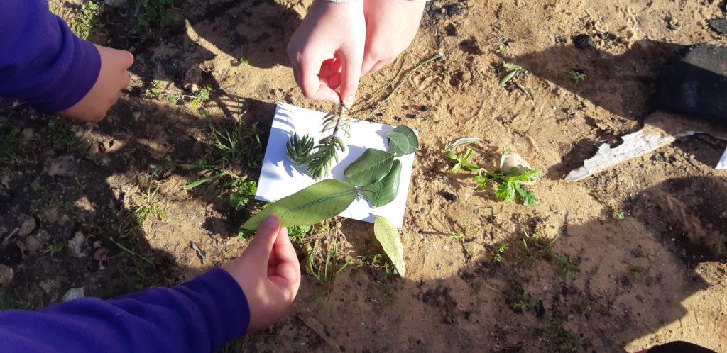 בית ספר אדוות ים: למידה במרחבי החיים בראייה קהילתית סביבתית by orin uyvari - Ourboox.com
