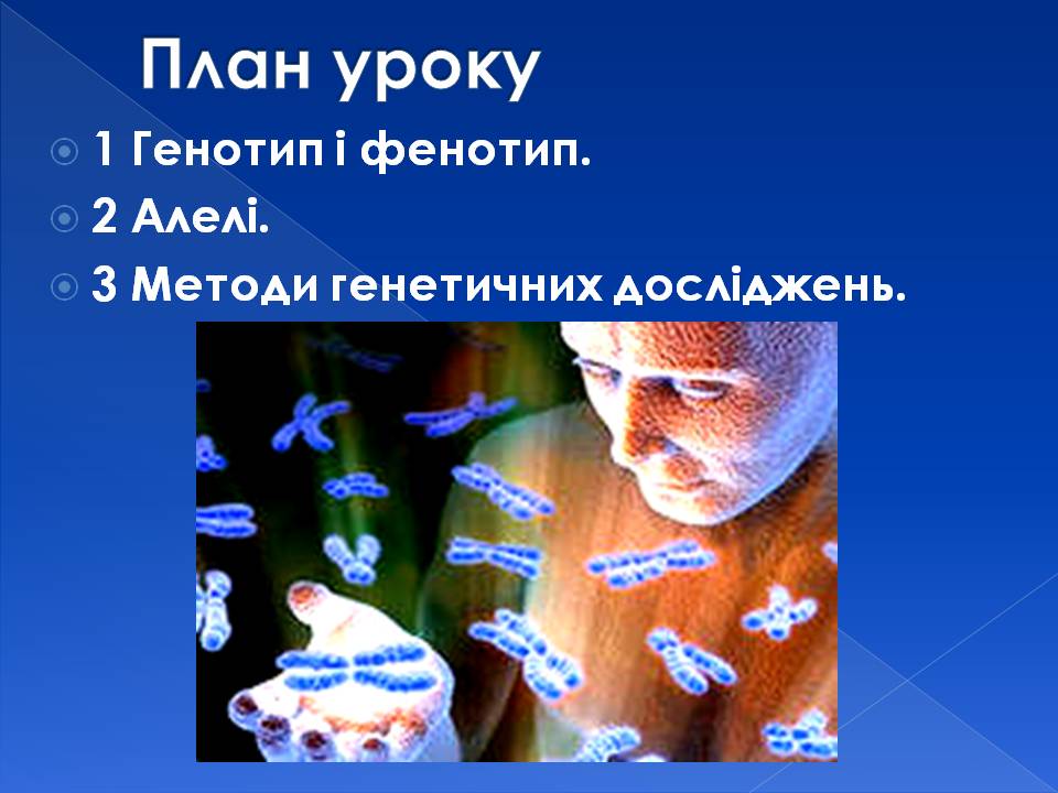 Генотип та фенотип. Методи 9кл. by Pidgorodetska Olena - Ourboox.com