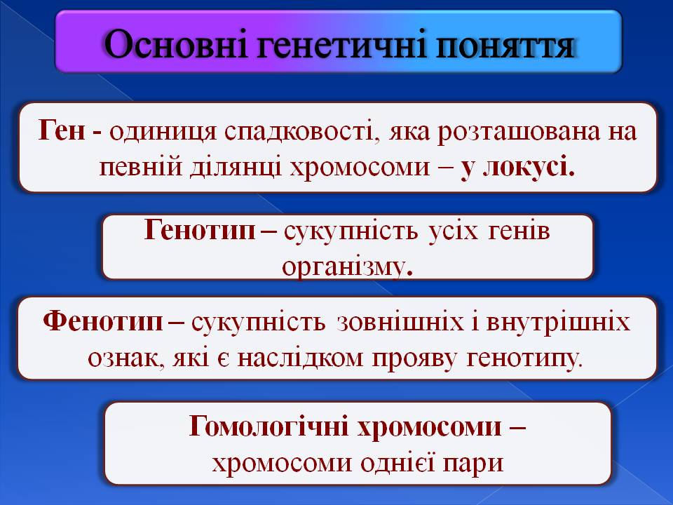 Генотип та фенотип. Методи 9кл. by Pidgorodetska Olena - Ourboox.com