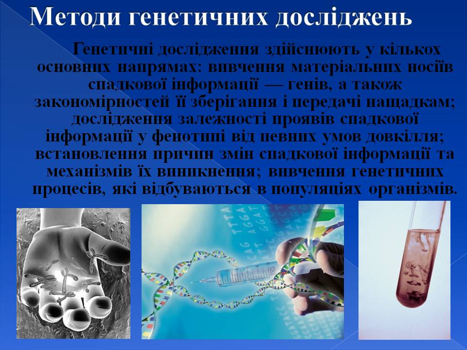 Генотип та фенотип. Методи 9кл. by Pidgorodetska Olena - Ourboox.com