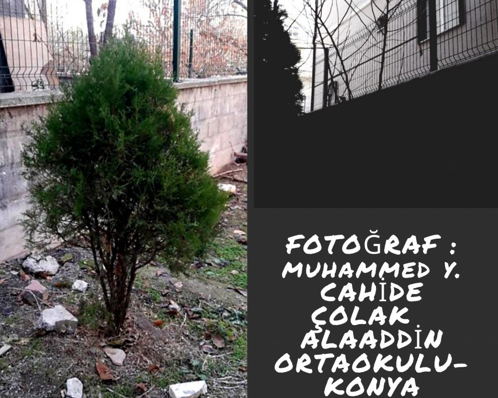 ÖZEL ÇOCUKLARIN GÖZLERİNDEN GÖZLERİNDEN ÖZEL KARELER E-TWINNING PROJESİ by IBRAHIM ÇOLAK - Ourboox.com