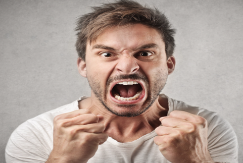 ספרות גשר בין עמים by adam - Ourboox.com