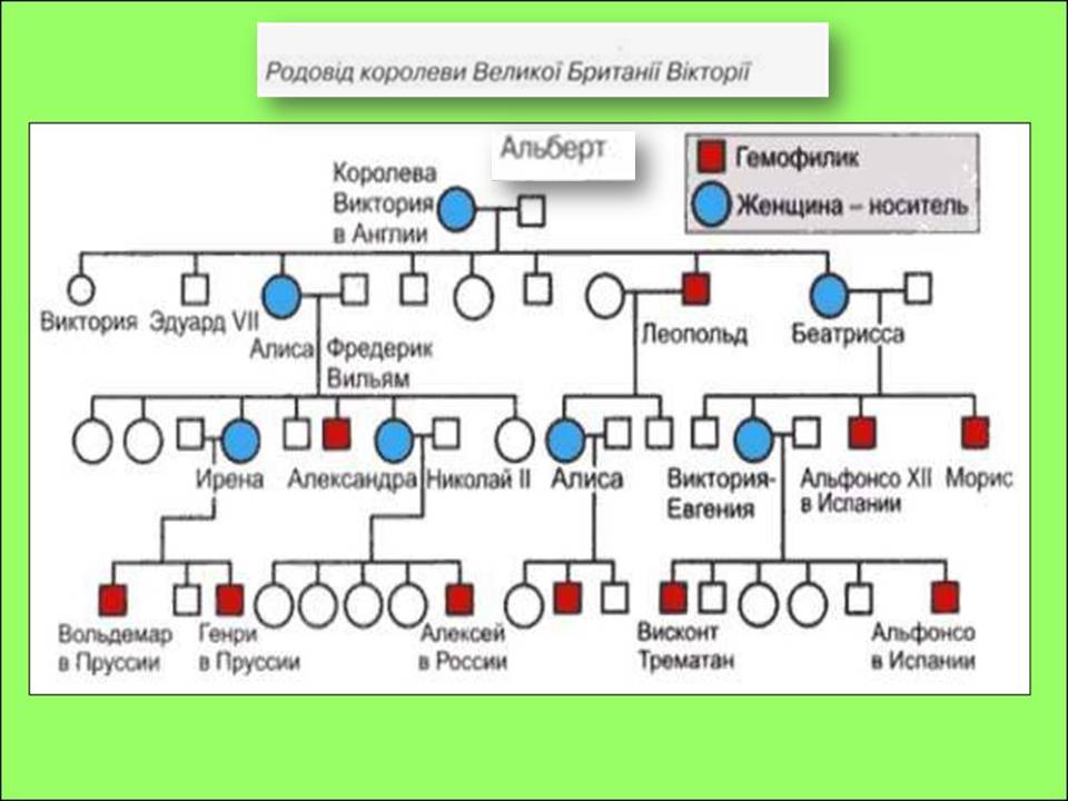 Генотип та фенотип. Методи 9кл. by Pidgorodetska Olena - Ourboox.com