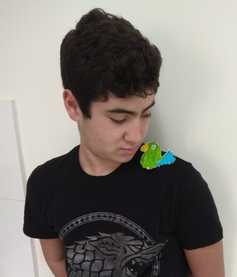 שילוב בין ציור לצילום