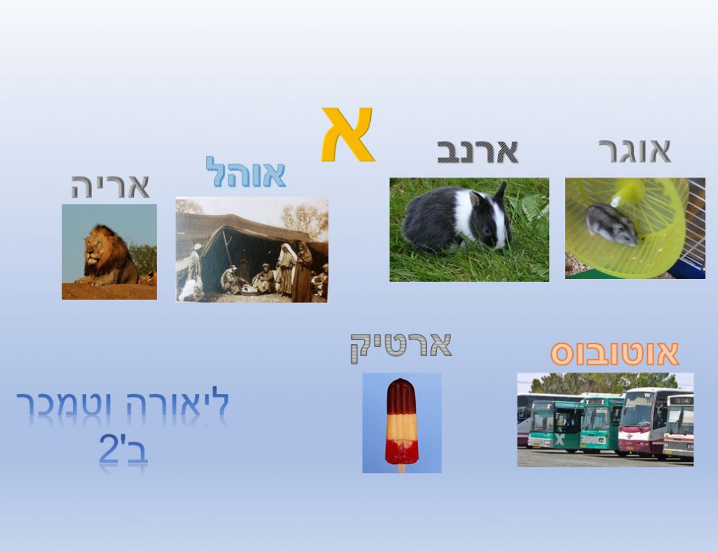 מילון חזותי by נאוה שעיה - Illustrated by כיתה ב2 בית ספר נבון - Ourboox.com