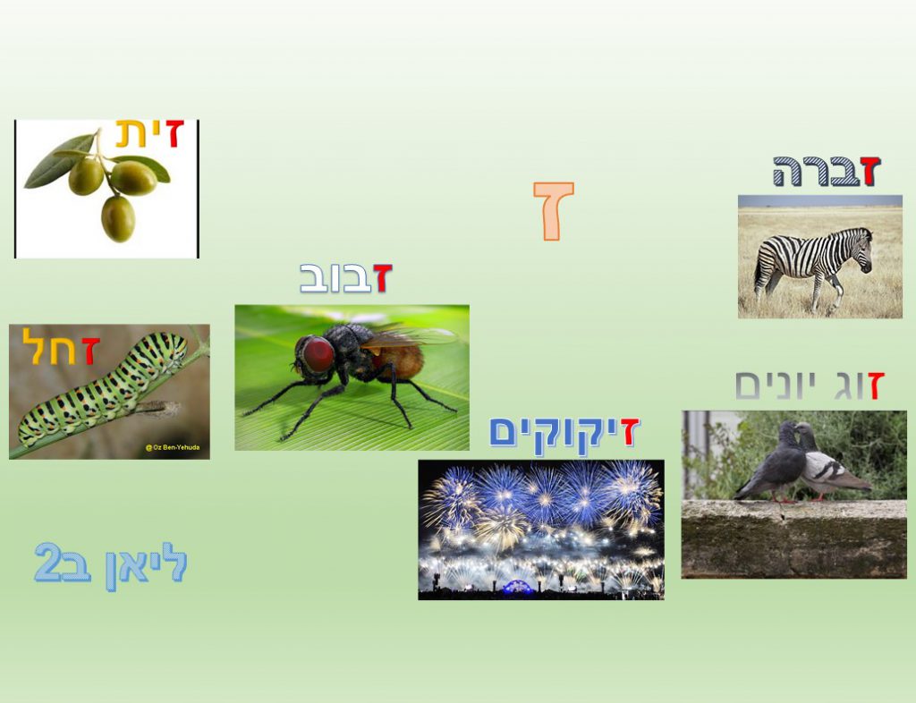 מילון חזותי by נאוה שעיה - Illustrated by כיתה ב2 בית ספר נבון - Ourboox.com