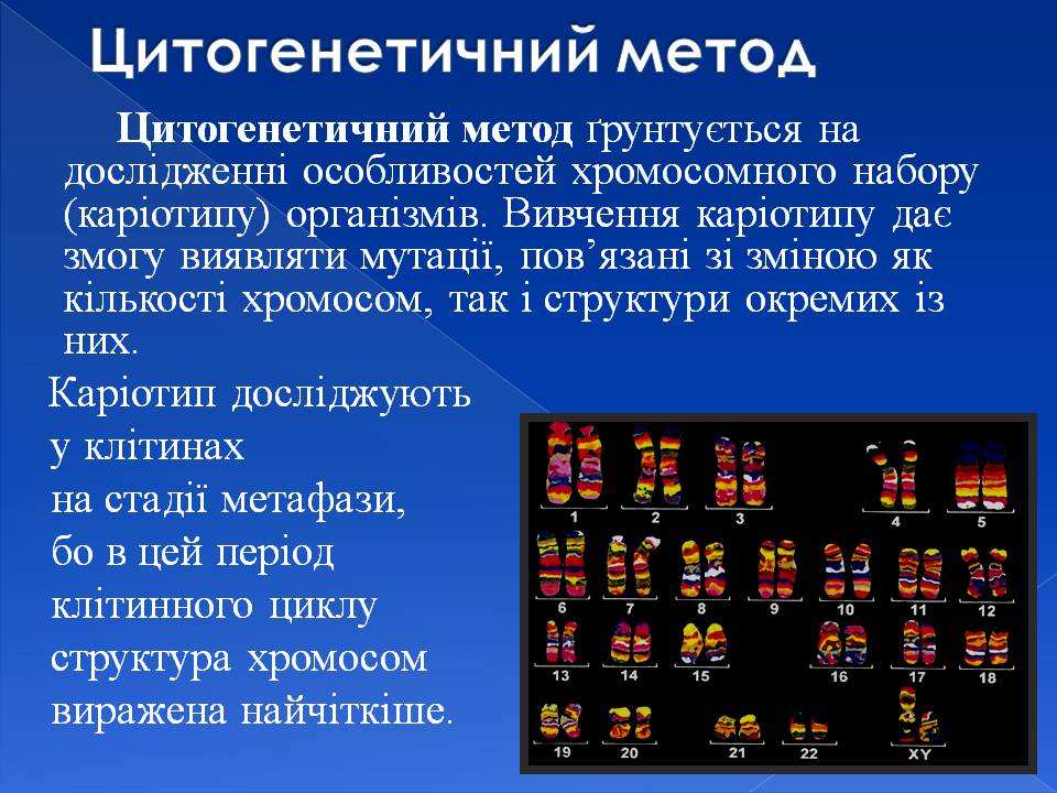 Генотип та фенотип. Методи 9кл. by Pidgorodetska Olena - Ourboox.com