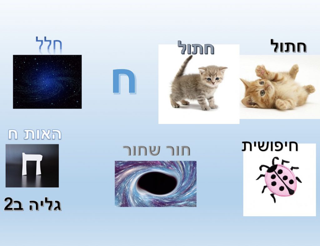 מילון חזותי by נאוה שעיה - Illustrated by כיתה ב2 בית ספר נבון - Ourboox.com