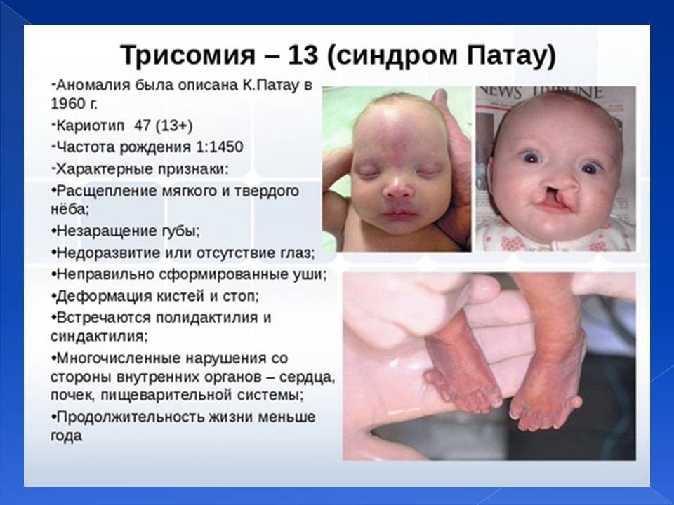 Генотип та фенотип. Методи 9кл. by Pidgorodetska Olena - Ourboox.com