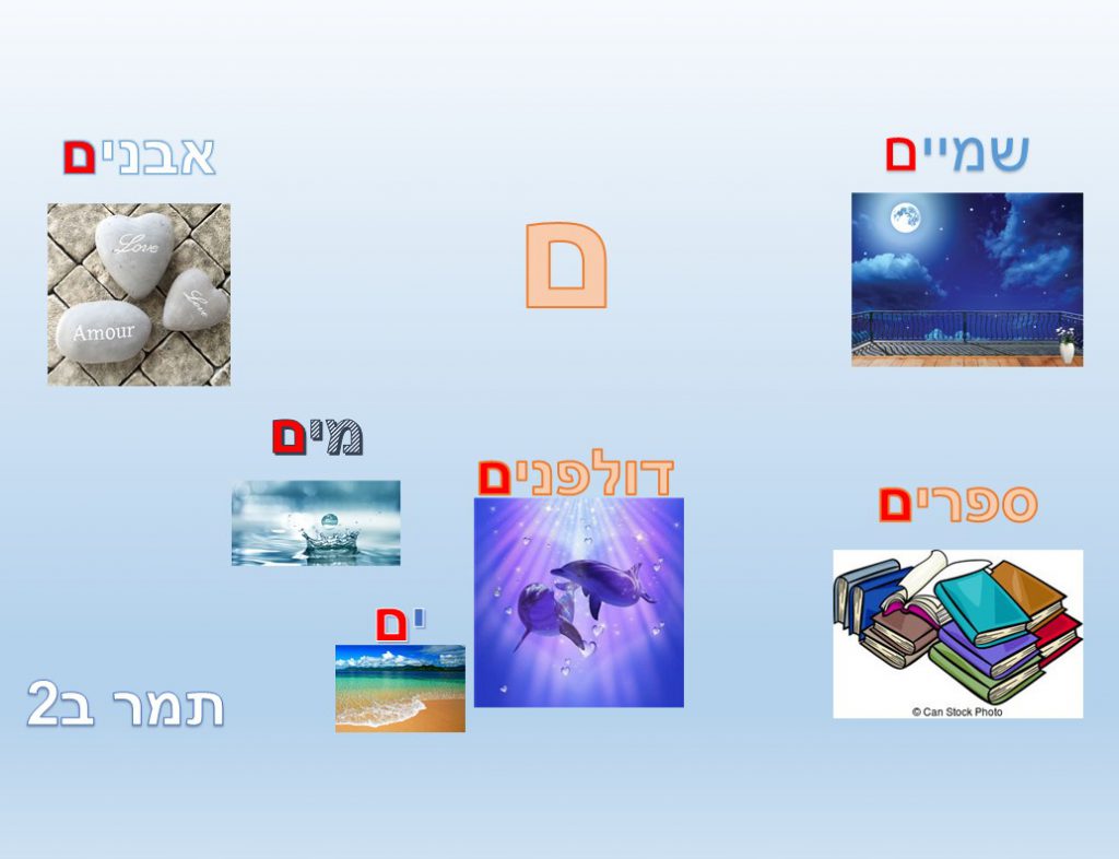 מילון חזותי by נאוה שעיה - Illustrated by כיתה ב2 בית ספר נבון - Ourboox.com