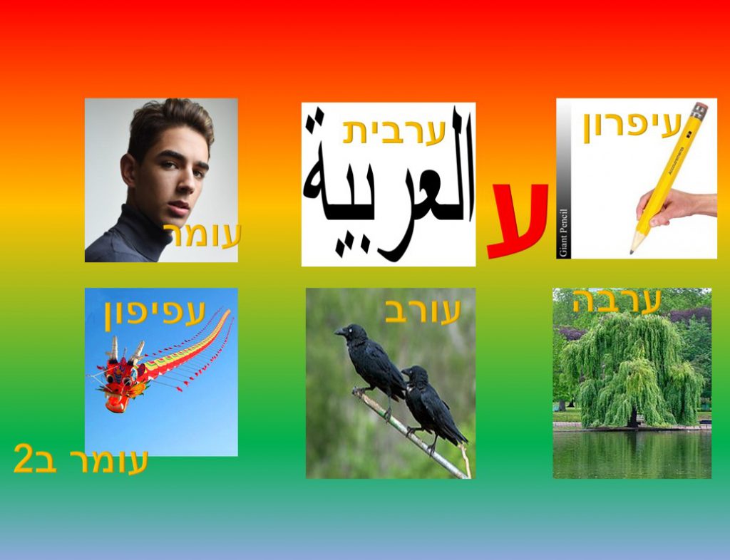 מילון חזותי by נאוה שעיה - Illustrated by כיתה ב2 בית ספר נבון - Ourboox.com