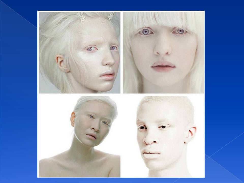 Генотип та фенотип. Методи 9кл. by Pidgorodetska Olena - Ourboox.com