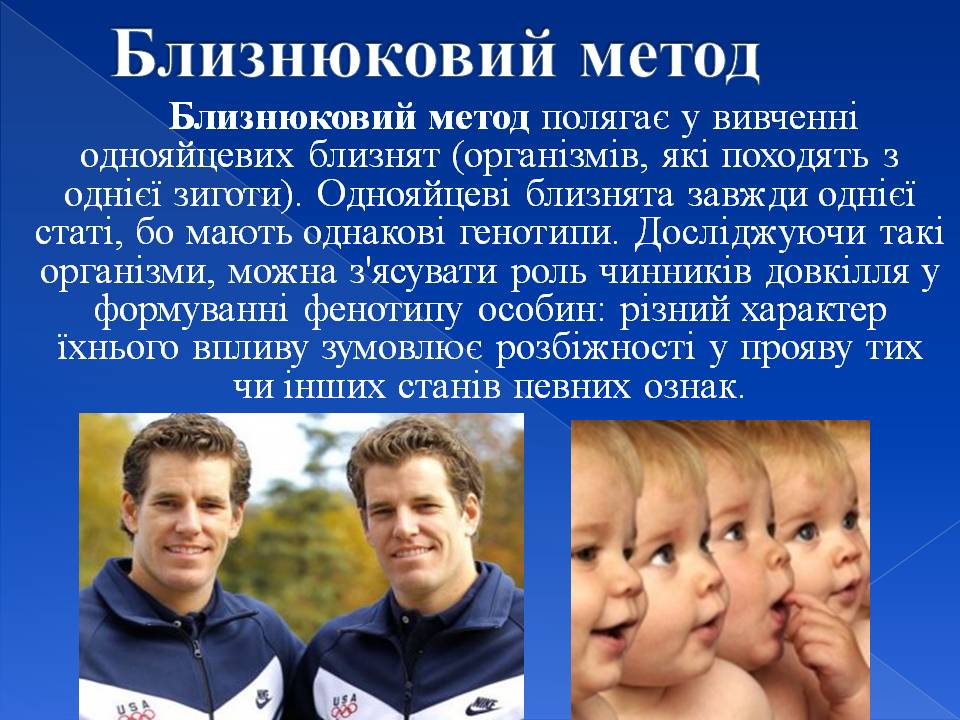 Генотип та фенотип. Методи 9кл. by Pidgorodetska Olena - Ourboox.com