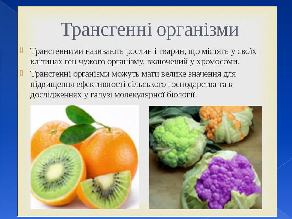 Генотип та фенотип. Методи 9кл. by Pidgorodetska Olena - Ourboox.com