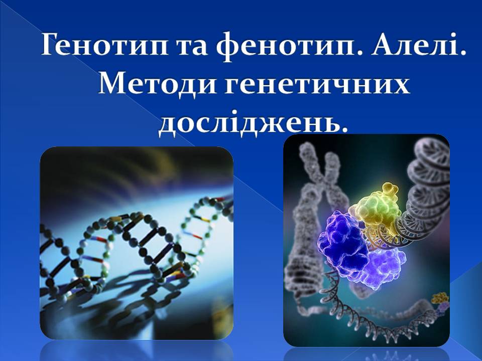 Генотип та фенотип. Методи 9кл. by Pidgorodetska Olena - Ourboox.com