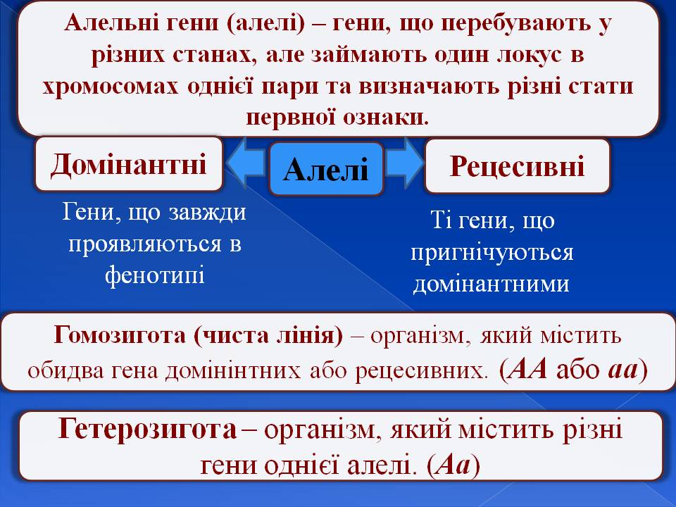 Генотип та фенотип. Методи 9кл. by Pidgorodetska Olena - Ourboox.com