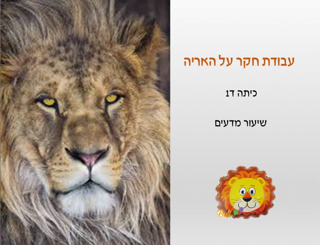 עבודת חקר על האריה by נאוה שעיה - Illustrated by כיתה ד1 - Ourboox.com