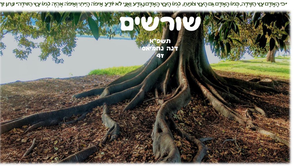 שורשים by dana - Ourboox.com