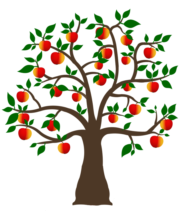 העץ וחלקיו by edna woloch - Ourboox.com