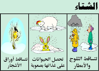 فصول السنة by alaa joron - Illustrated by Alaa joron & Tamer kabha - Ourboox.com
