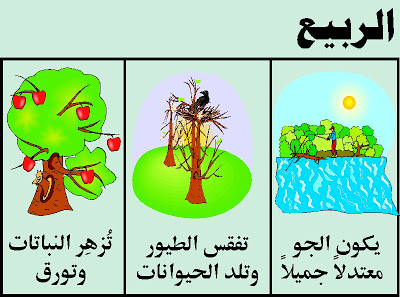 فصول السنة by alaa joron - Illustrated by Alaa joron & Tamer kabha - Ourboox.com
