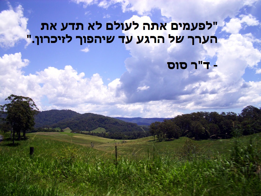 פרידה by hind jbara - Illustrated by סנאא טיבי - Ourboox.com